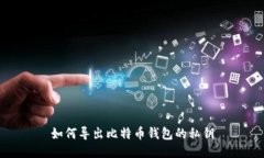 如何导出比特币钱包的私钥