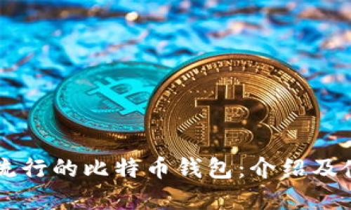 印度最流行的比特币钱包:介绍及使用指南