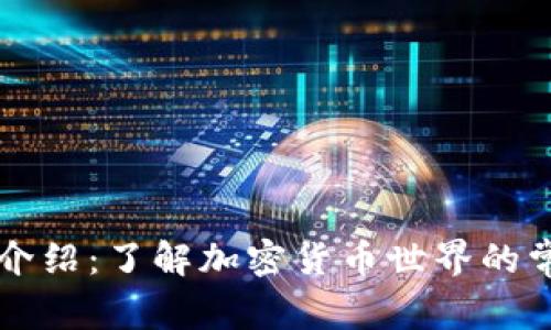 虚拟币介绍:了解加密货币世界的常见币种