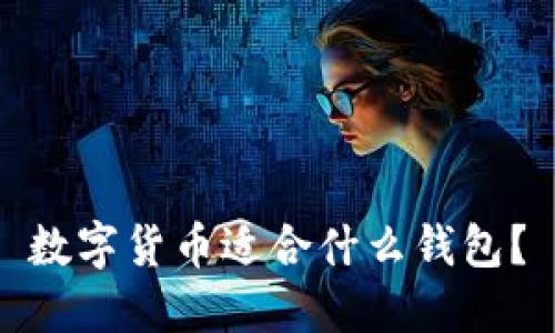 数字货币适合什么钱包?