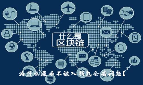 为什么屎币不放入钱包会有问题?