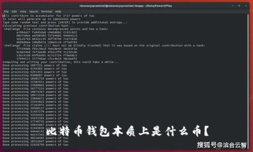 比特币钱包本质上是什么币?