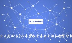 什么是VV币？VV币虚拟货币