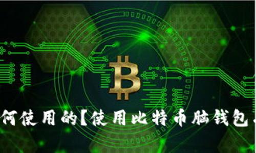 比特币脑钱包是如何使用的?使用比特币脑钱包有哪些优势及劣势?
