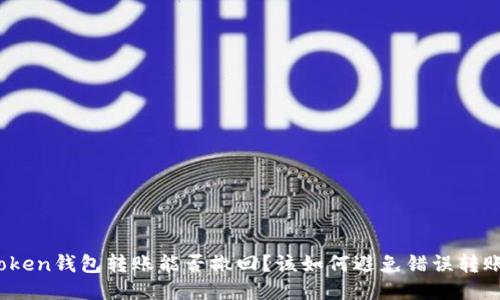 Token钱包转账能否撤回?该如何避免错误转账?