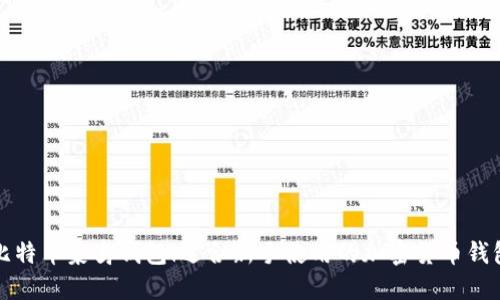 比特币菜鸟钱包|适合新手使用的加密货币钱包