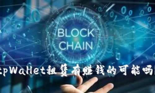 tpWallet租赁有赚钱的可能吗?