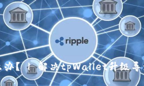 tpWallet升级了怎么办? | 解决tpWallet升级导致问题的方法和建议