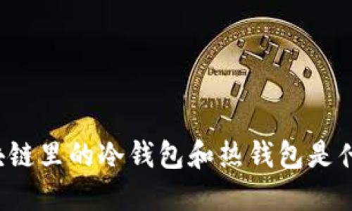 区块链里的冷钱包和热钱包是什么?
