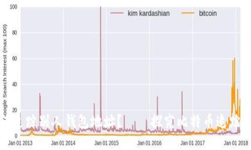 如何追踪别人钱包地址?——探究比特币追踪技术