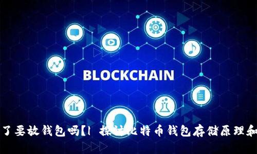比特币买了要放钱包吗?| 探讨比特币钱包存储原理和安全问题