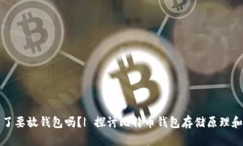 比特币买了要放钱包吗?| 探讨比特币钱包存储原理和安全问题