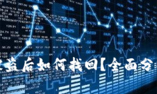 冷钱包货币被盗后如何找回?全面分析与解决方案