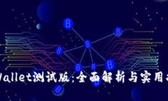 TPWallet测试版：全面解析与