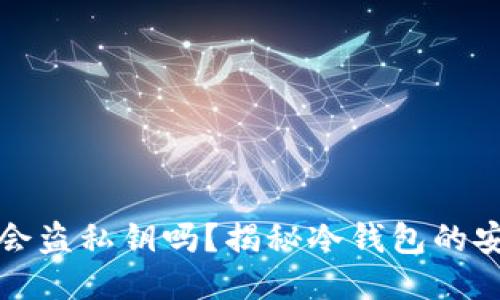 冷钱包开发公司会盗私钥吗？揭秘冷钱包的安全性与信任问题