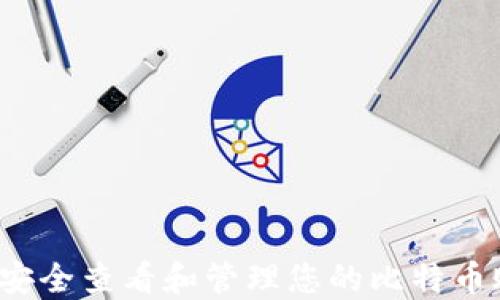 
如何安全查看和管理您的比特币账户？