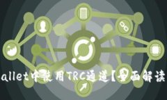 如何在TPWallet中使用TRC通道？全面解读与解决方案