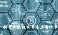 TPWallet加速器：提升区块链交易速度与效率的最佳