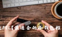 如何安全存放FIL？最适合的冷钱包推荐与使用指