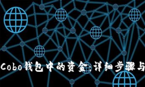 如何提取Cobo钱包中的资金：详细步骤与实用技巧