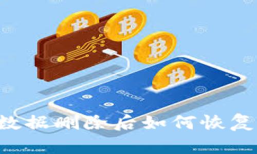 TPWallet数据删除后如何恢复？详细指南