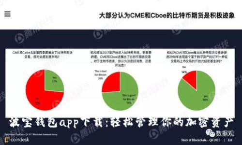 波宝钱包app下载：轻松管理你的加密资产