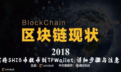 如何将SHIB币提币到TPWallet：详细步骤与注意事项