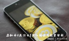 虚拟币U是什么？深入解读与投资分析
