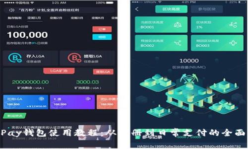 KD Pay钱包使用教程：从注册到日常支付的全面指南