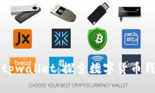  孙宇晨 tpwallet：探索数字货币钱包的未来