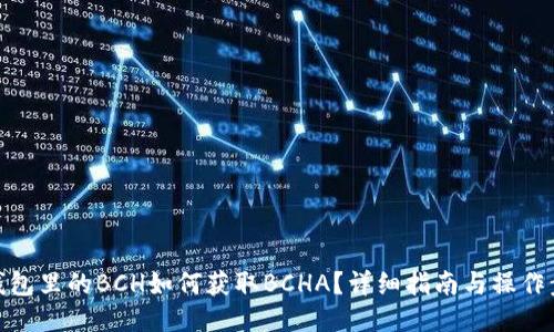 冷钱包里的BCH如何获取BCHA？详细指南与操作步骤