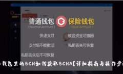 冷钱包里的BCH如何获取BCHA？详细指南与操作步骤