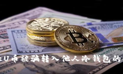 如何防止U币被骗转入他人冷钱包的全面指南