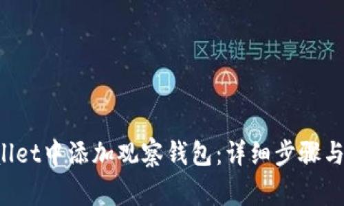 如何在TP Wallet中添加观察钱包：详细步骤与常见问题解答