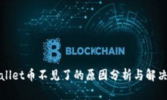 TPWallet币不见了的原因分析与解决方案