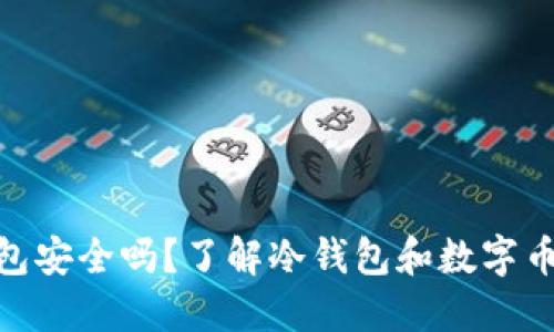 数字币冷钱包安全吗？了解冷钱包和数字币被盗的风险