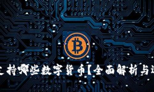 冷钱包支持哪些数字货币？全面解析与选购指南