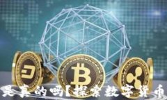 数字货币钱包卡是真的吗？探索数字货币的未来