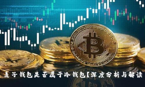 麦子钱包是否属于冷钱包？深度分析与解读