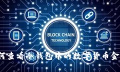 如何查看冷钱包中的数字货币金额？