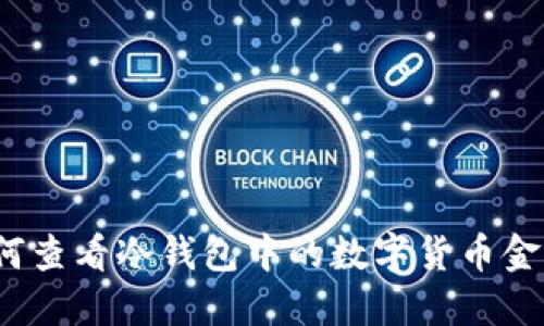 如何查看冷钱包中的数字货币金额？
