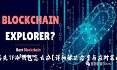 丢失TP冷钱包怎么办？详细解决方案与应对策略