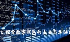 TPWallet：探索数字钱包的未来与加油站的缺失