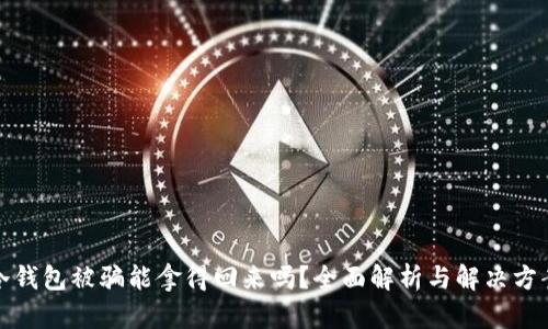 冷钱包被骗能拿得回来吗？全面解析与解决方案