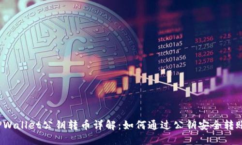 TPWallet公钥转币详解：如何通过公钥安全转账？