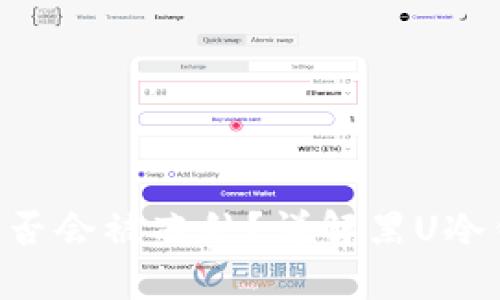黑U冷钱包是否会被冻结？详解黑U冷钱包的安全性