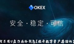 为何不用U盘作为冷钱包？揭开数字资产存储的真