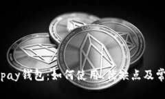 全面解析Copay钱包：如何使用、优缺点及常见问题