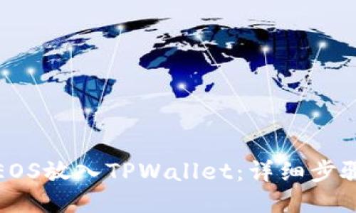如何将EOS放入TPWallet：详细步骤与技巧