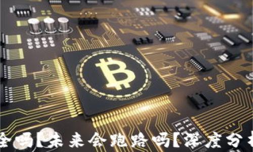 
TPWallet安全吗？未来会跑路吗？深度分析与风险评估